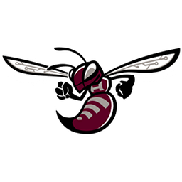 HUDSON H S logo