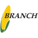 Hugh H Branch logo