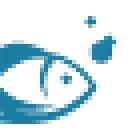 Hulafish Computer Services logo