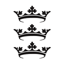 Hull City Council logo