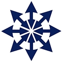 Human Synergistics Australia & Nz logo