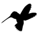 Hummingbird Care Home LLC