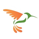 Hummingbird Networks logo