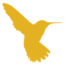 Hummingbird Resources logo