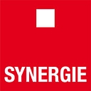 Synergie Hunt International logo
