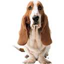 Hush Puppies logo