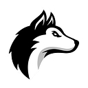 Husky Volleyball Club, Llc logo