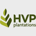 Hancock Victorian Plantations Holdings Pty Limited logo