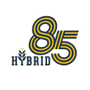 Hybrid85 logo