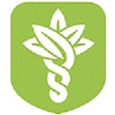 Favicon of Hybrid Remedies