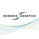 Hybrid Turkeys logo