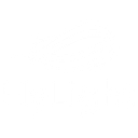 HyLight