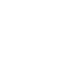 I3tech Data Solutions, Inc. logo