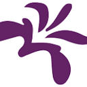 Interior Alaska Center for Non-violent logo