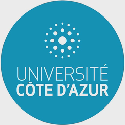 Logo IAE Nice (Graduate School of Management)