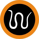Iason logo