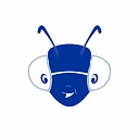 iBlueAnts Infosystems Pvt. Ltd. logo