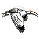 Ibis Charities Foundation Inc logo