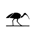 Ibis Reproductive Health Inc logo