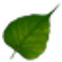 iBodhi.com