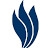 ibs-hi.com/ logo