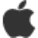 iCarryAll