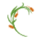 www.icasi.net/ logo