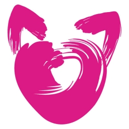 International Cat Care