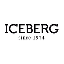 Iceberg logo
