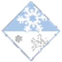 Ice Services Inc. logo