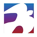Icon Systems, Inc.