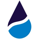 Icon Lifesaver® logo