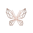International Cosmetics & Perfumes, Inc. logo