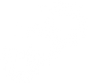 Ideal Medical Solutions logo