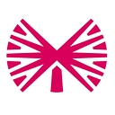 Ideematec Deutschland GmbH logo