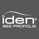 Iden International logo