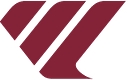 Idin Consulting Group logo