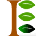 International Education Foundation logo
