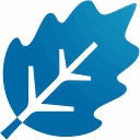 Iffd   International Federation For Family Development logo
