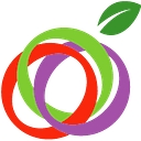 Ifg logo