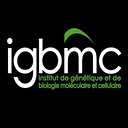 IGBMC logo