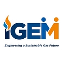 Igem logo