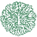 Iggy's Alive & Cultured logo