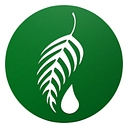 Melaleuca logo