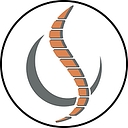 Ignite Chiropractic & Wellness logo