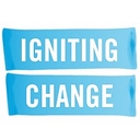 Favicon of Igniting Change