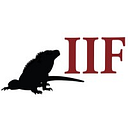 THE INTERNATIONAL IGUANA FOUNDATION logo