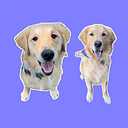 iHeartDogs - Mission Driven Products + Educational Health Content logo