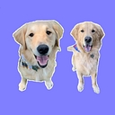 Favicon of Iheartdogs