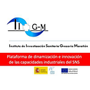 Iisgm logo